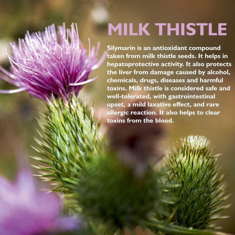 Onelife LIV DTOX Supports Liver Health Milk Thistle 60 Tablets 6