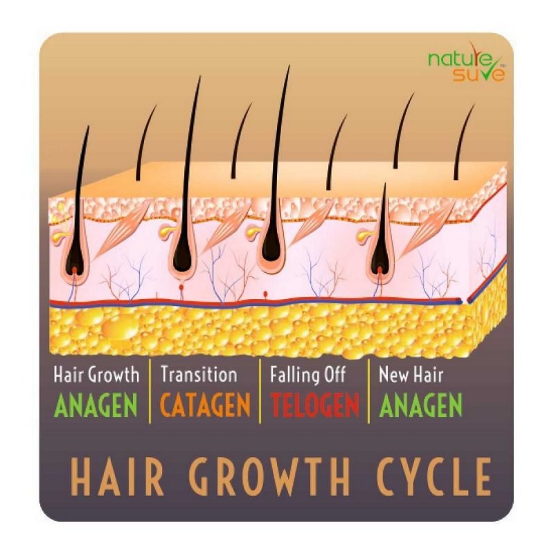 Nature Sure Thumba Wonder Hair Oil for Men and Women 1 Pack 110ml4