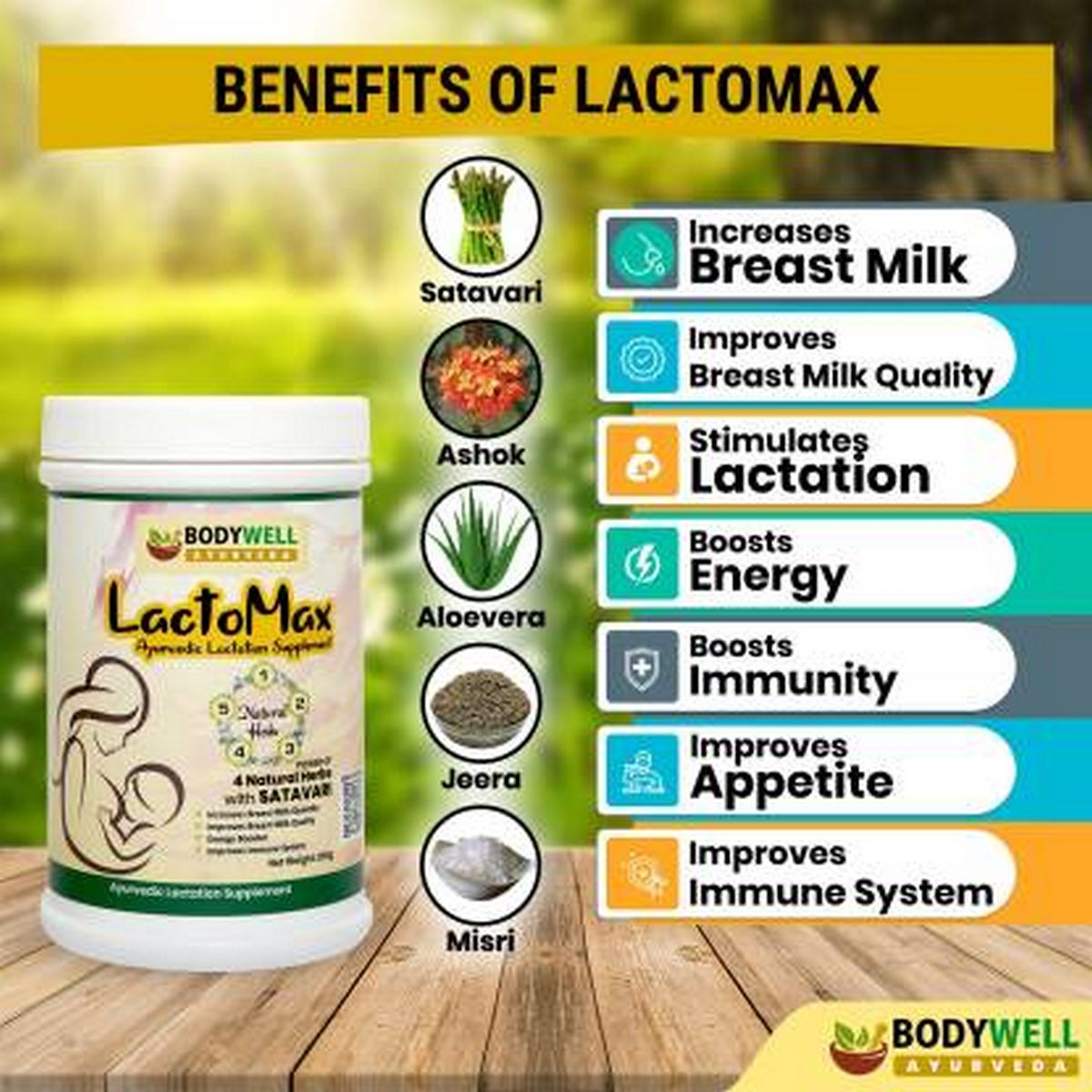 Bodywell Lactomax Lactation Supplement  250gm   BODYWELL Lactomax 2