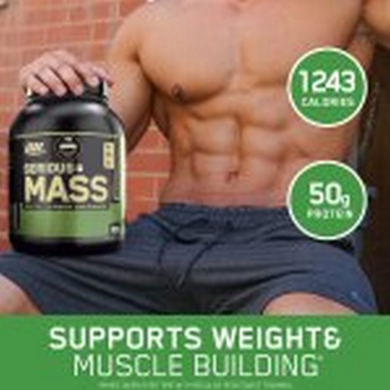 Optimum Nutrition ON Serious Mass Muscle Gainer All Flavours 7 1