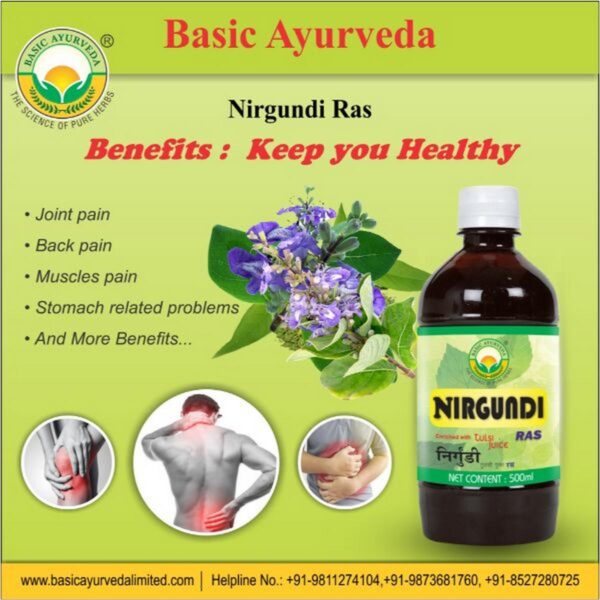 Basic Ayurveda Nirgundi Ras4