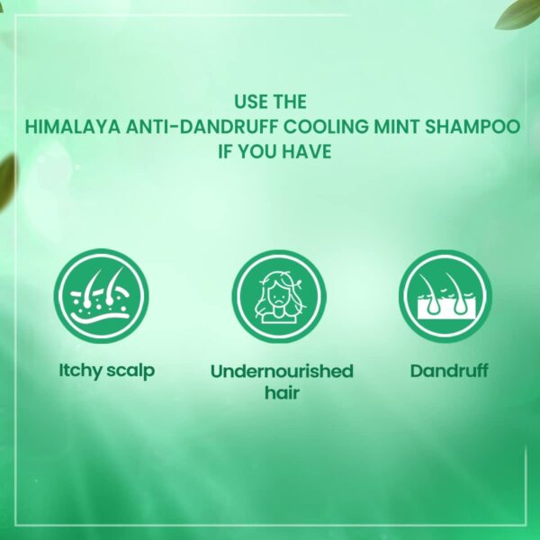 Himalaya Anti Dandruff Cooling mint Shampoo 200 ml 3