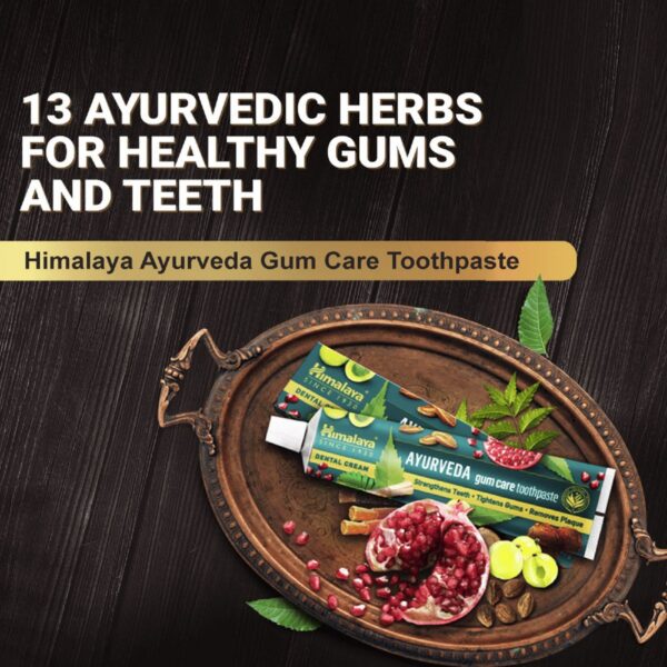 Himalaya Ayurveda Gum Care Toothpaste 2