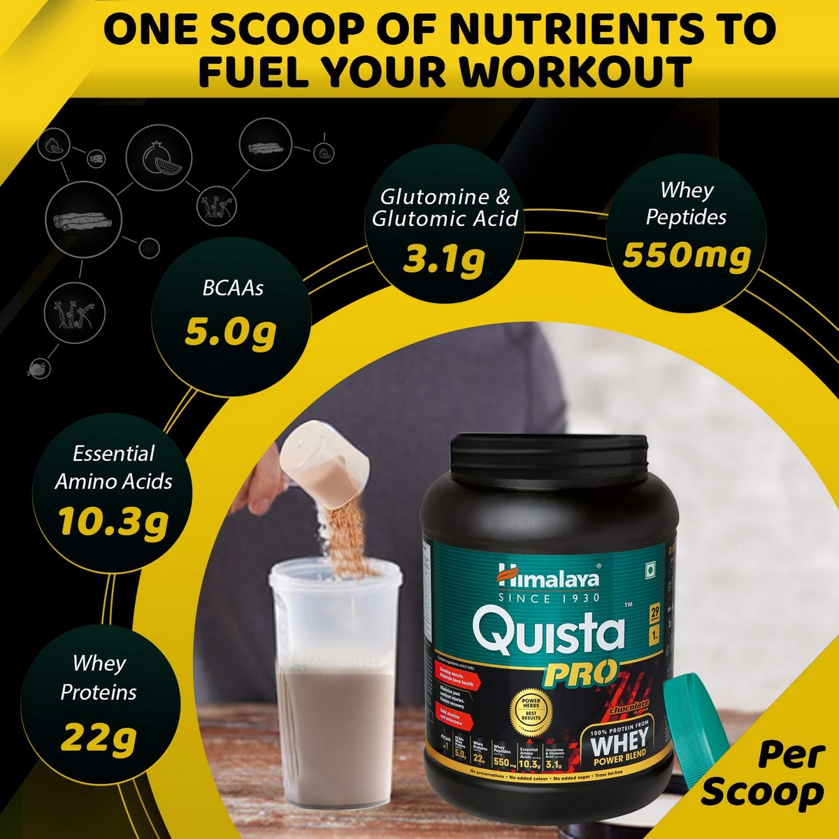 Himalaya Quista Pro Advanced Whey Protein Powder 1 kg 4