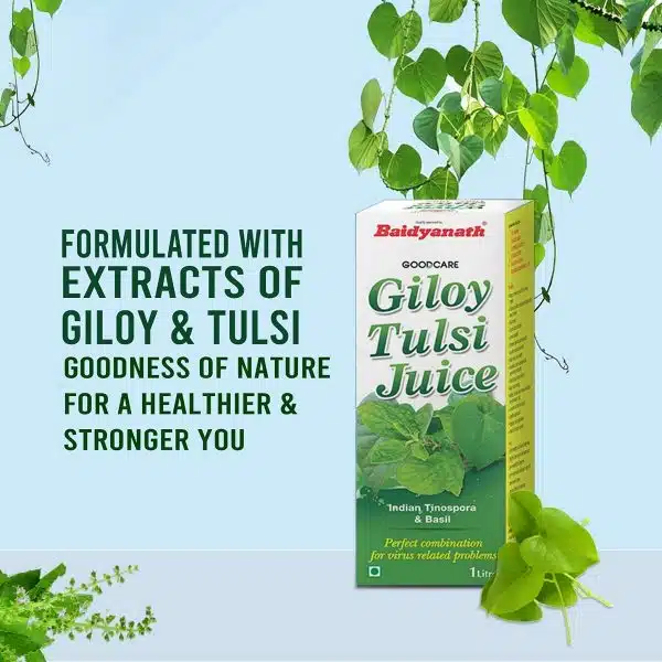 Baidyanath Giloy Tulsi Juice2