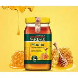 Baidyanath Vansaar Madhu Honey 1