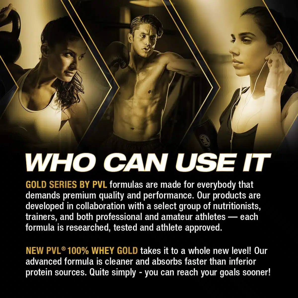 PVL Gold Series Whey Gold Protein Powder Triple Chocolate Brownie Overloaded 5