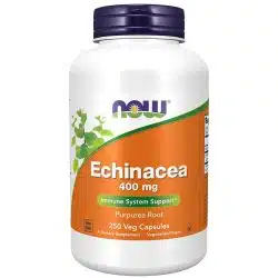 NOW Foods Echinacea 400mg 250 capsules