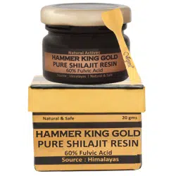 Vigini Hammer King Gold Pure Premium Original Shilajit Resin 1