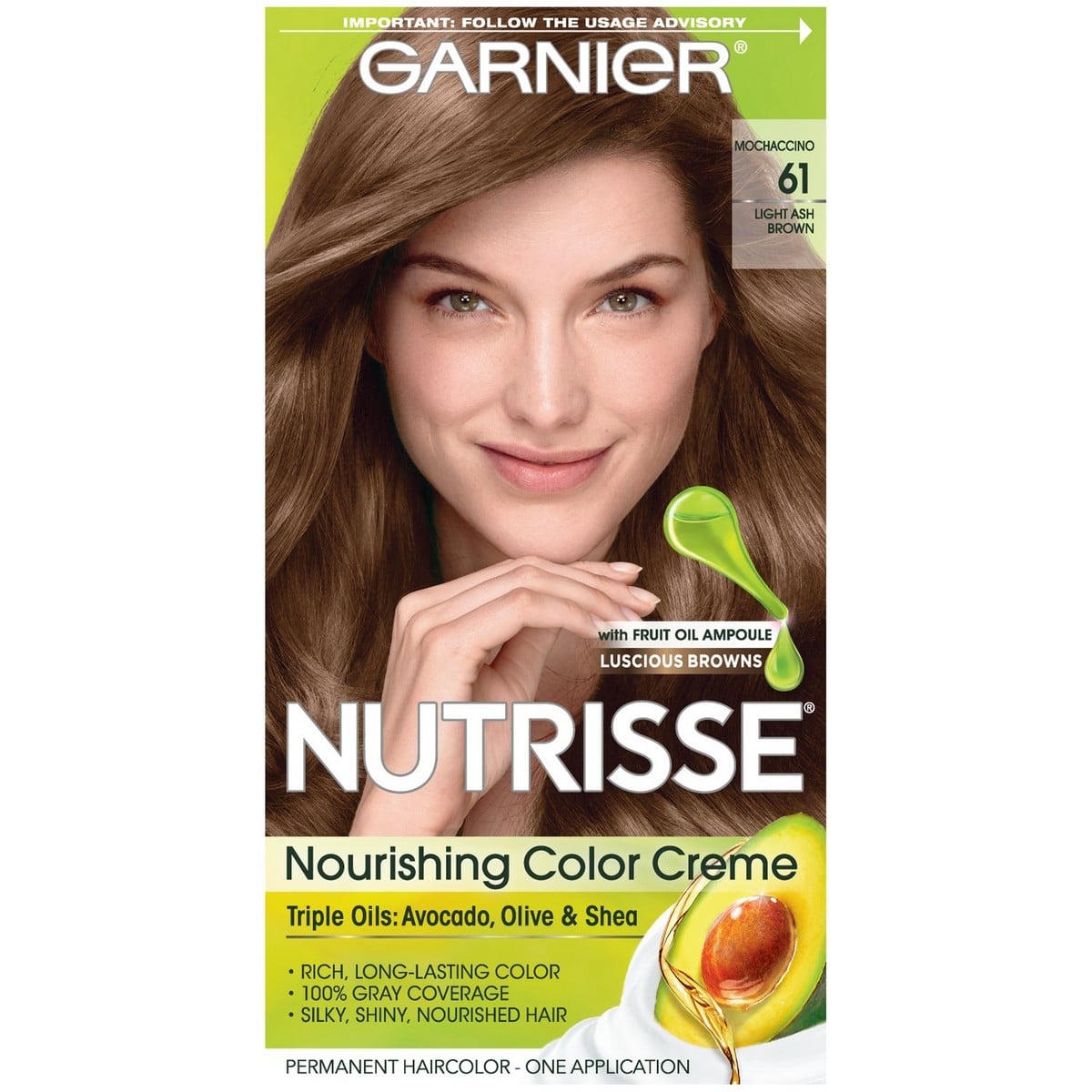Garnier Hair Color 61 Light Ash Brown (213 grams) - RichesM Healthcare