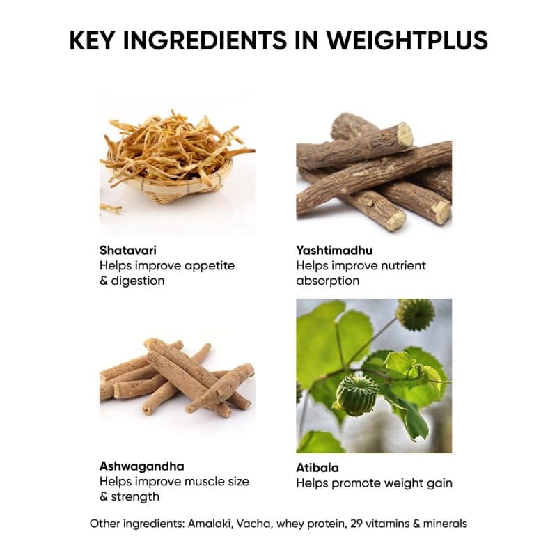 Dr Vaidyas WeightPlus For Healthy Weight Gain 5