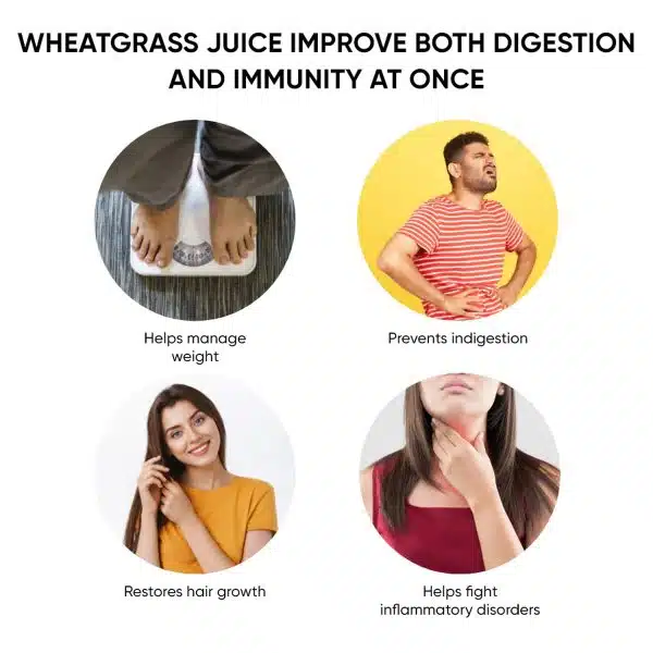 Dr Vaidyas Wheatgrass Juice For Digestion Detoxification Immunity Cholesterol Regulation 3