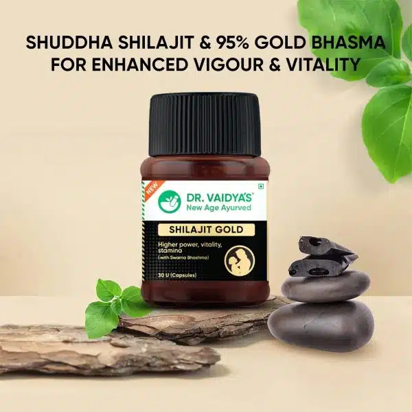 Dr. Vaidyas Shilajit Gold Capsules 2