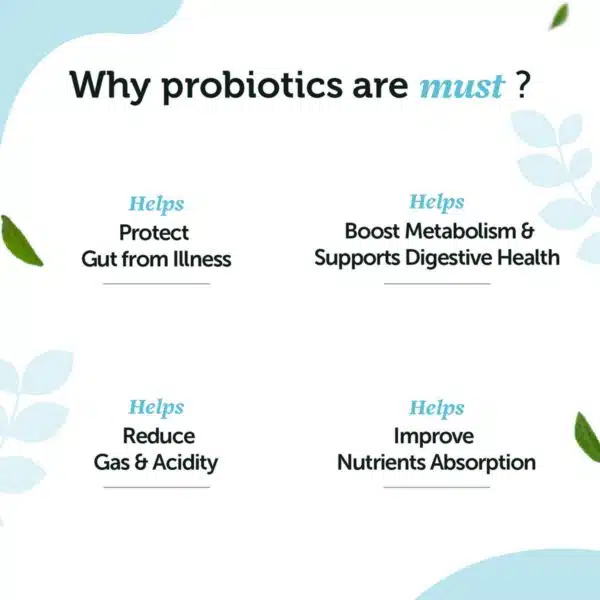 Daily Probiotics For Gut And Immune Health 60 Caps 3