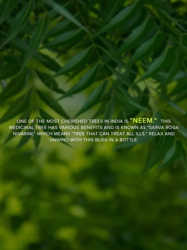 Khadi Natural Neem Tea Tree Face Wash
