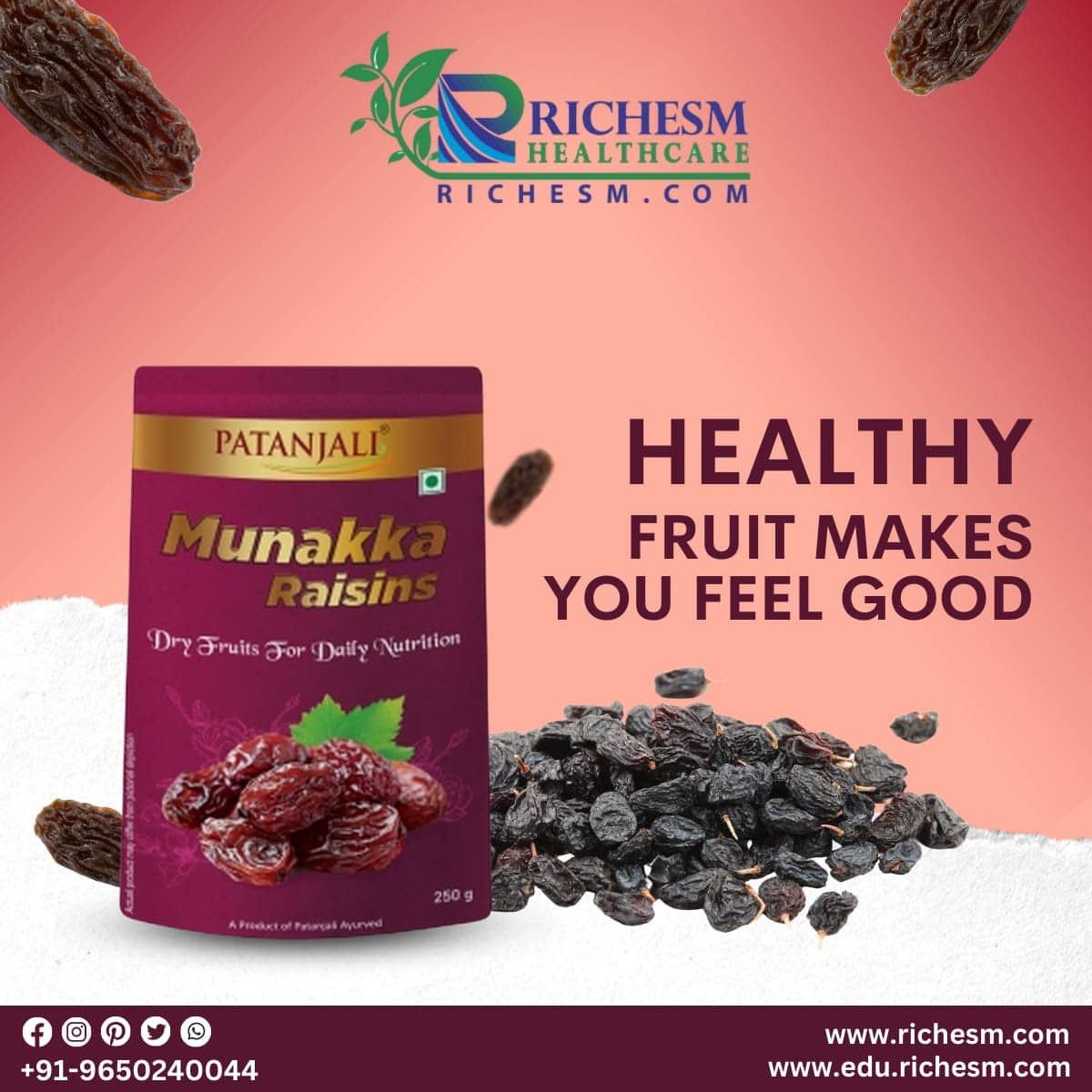 Munakka Raisins Dry Fruit For Daily Nutrition At RichesM