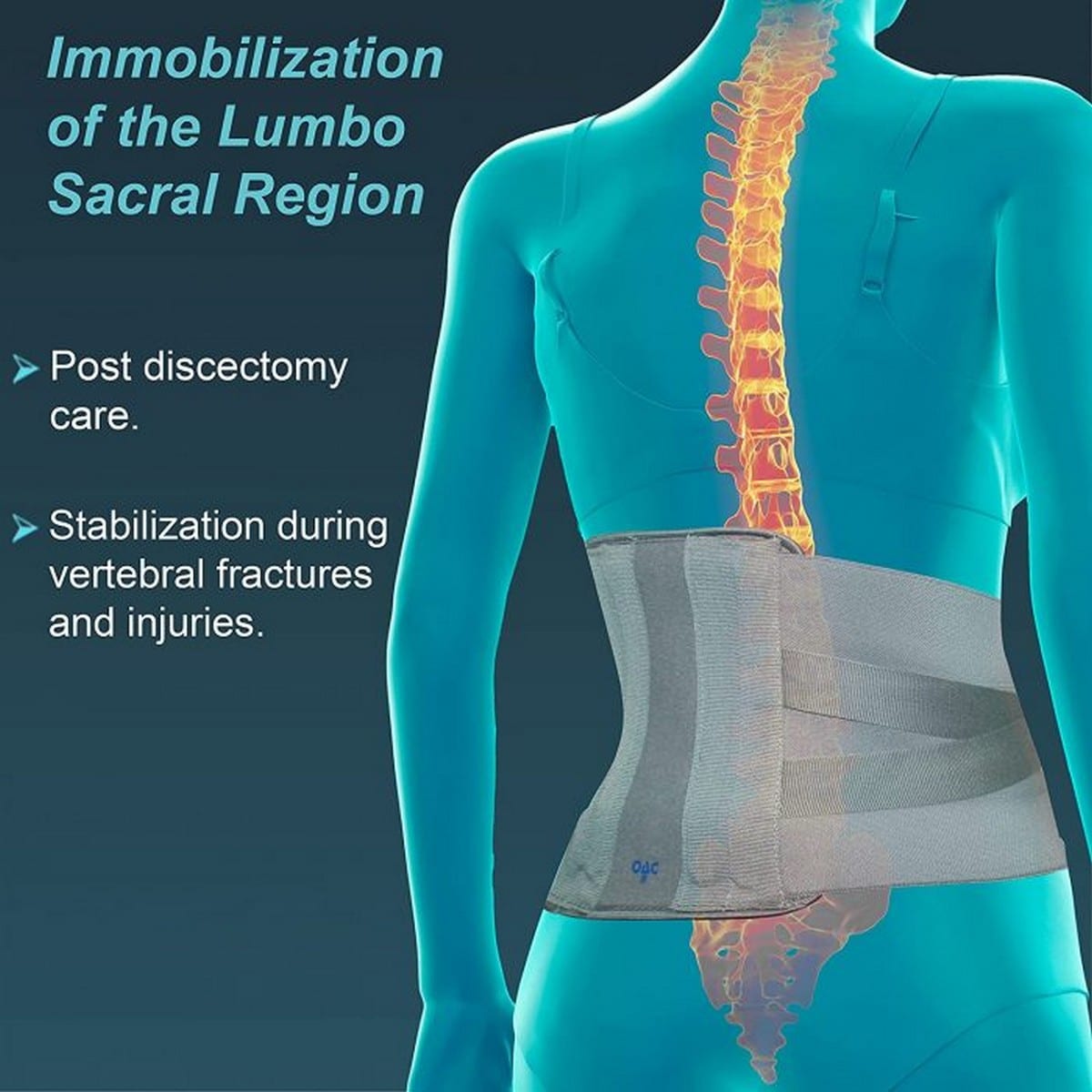 Tynor OAC Contoured L.S. Belt Immobilize The Lumbosacral