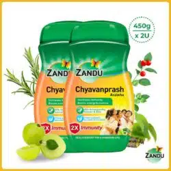 Zandu Chyavanprash Avaleha, Pack of 2 (450 gm)