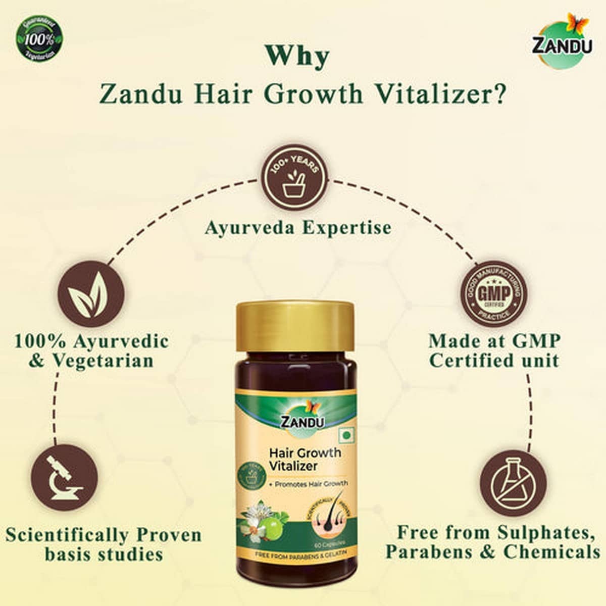 Zandu Seniorz Daily Health Booster Syrup For Senior Citizens