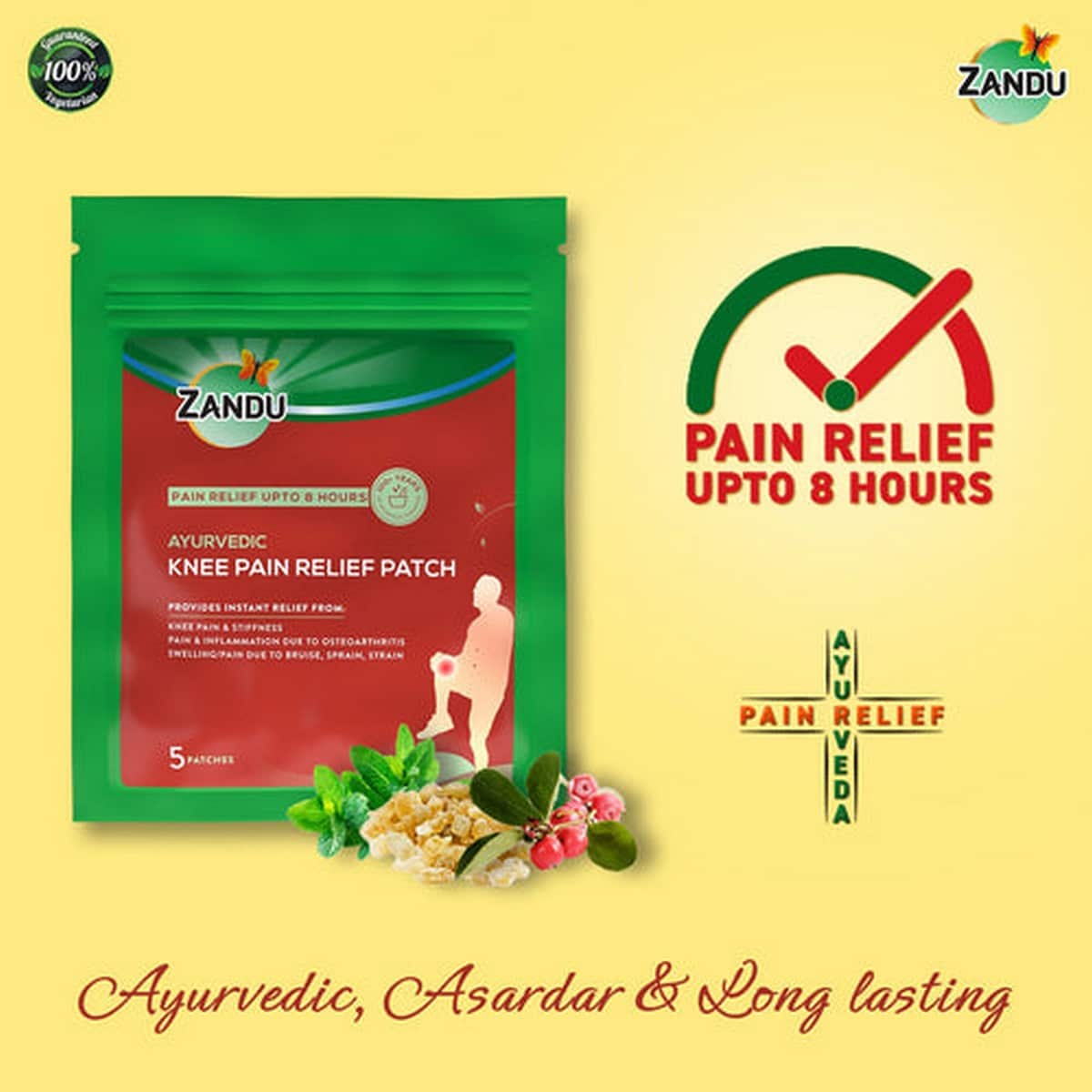 Buy Zandu Ayurvedic Pain Relief Patches 🩹 For Muscle/Joints