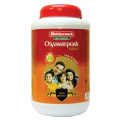 Baidyanath Chyawanprash (2 kg)