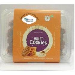 Richesm Healthcare 100 Natural High Protein Oats Cookies 150 Gm