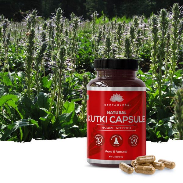 Saptamveda Natural Kutki Capsules with 5 Extract 60 Capsules1